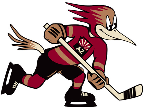 Tucson Roadrunners 2016-Pres Partial Logo iron on heat transfer